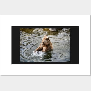 Bear in the water / Swiss Artwork Photography Posters and Art